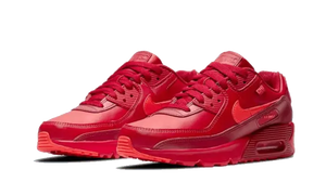Nike Air Max 90 Chi-City Special - DH0146-600