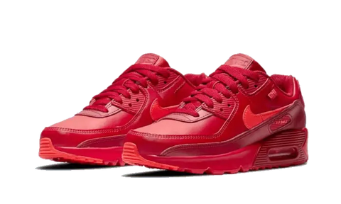 Air Max 90 Chi-City Special