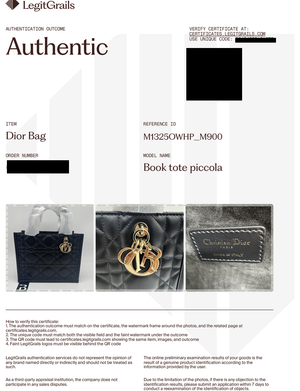 Dior Book Tote borsa piccola