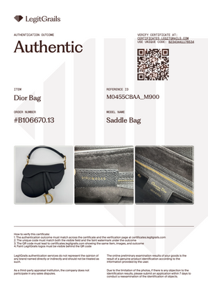 Saddle borsa a tracolla