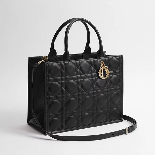 Dior Book Tote borsa media