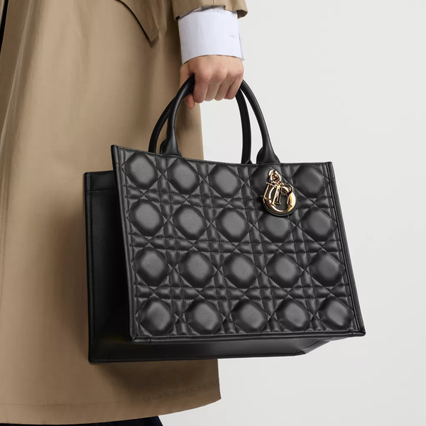 Dior Book Tote borsa media