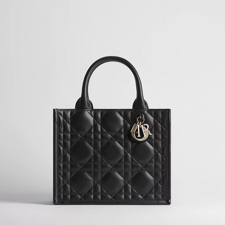 Dior Book Tote borsa piccola