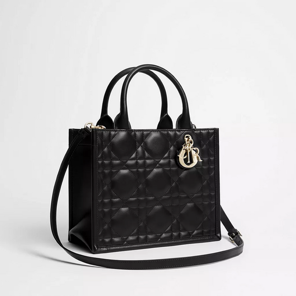 Dior Book Tote borsa piccola