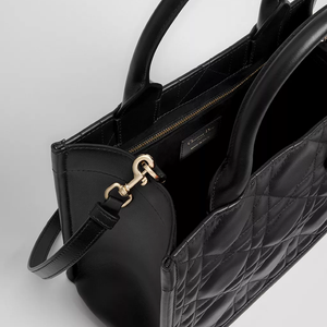 Dior Book Tote borsa piccola