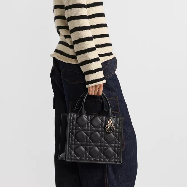 Dior Book Tote borsa piccola