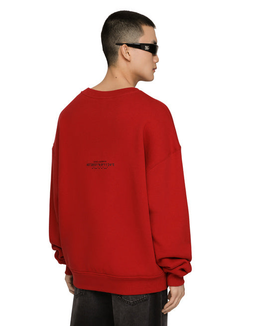 JERSEY SWEATSHIRT WITH DGVIB3 PRINT AND LOGO