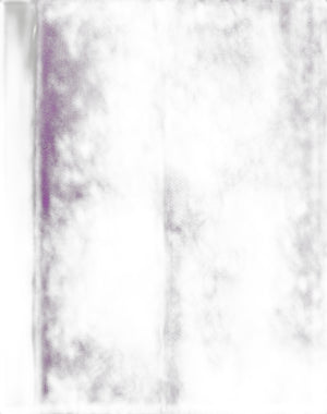 Collant In Lycra Lace