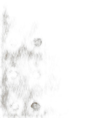 Cappotto In Lurex Jacquard Toute La V 