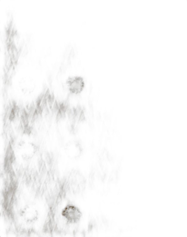 Cappotto In Lurex Jacquard Toute La V 