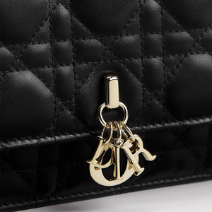 My Dior miniborsa