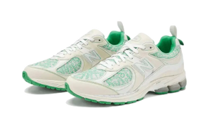 New Balance 2002R GANNI Tórtola