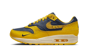 Nike Air Max 1 CO.JP Michigan