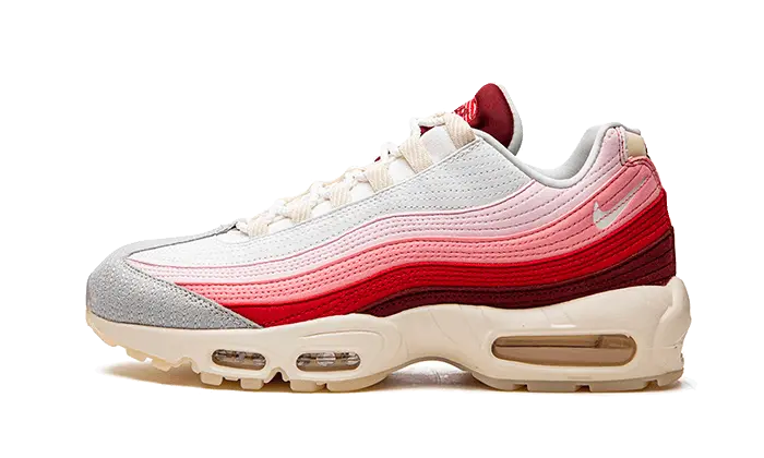 Nike Air Max 95 Anatomy of Air