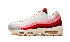 Air Max 95 Anatomy of Air