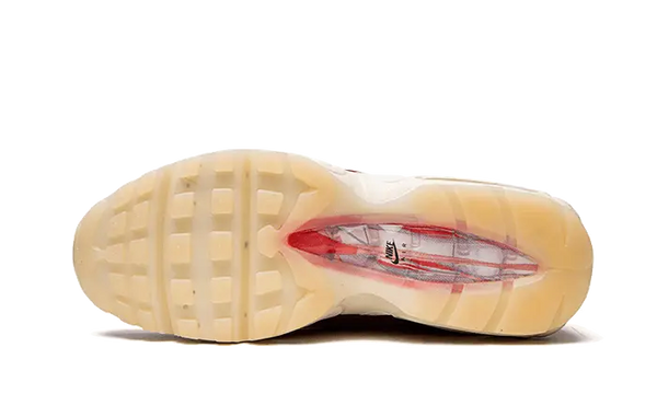Nike Air Max 95 Anatomy of Air