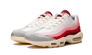 Nike Air Max 95 Anatomy of Air