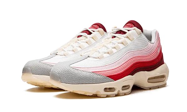 Nike Air Max 95 Anatomy of Air