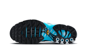 Nike Air Max Plus Baltic Blue