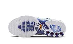 Nike Air Max Plus Blue Fade