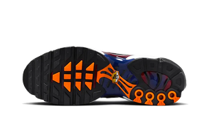 Nike Air Max Plus Patta FC Barcelona