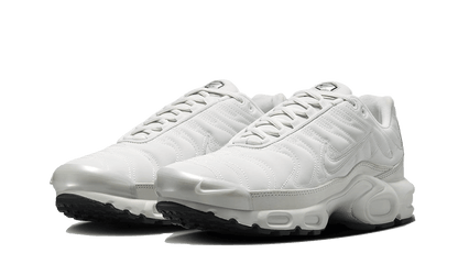 Nike Air Max Plus Reflective Platinum