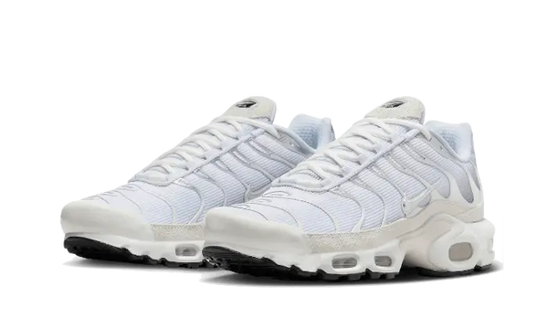 Nike Air Max Plus Sail Pure Platinum Silver