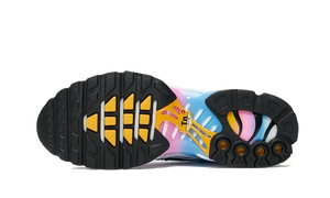 Nike Air Max Plus Summer Gradient