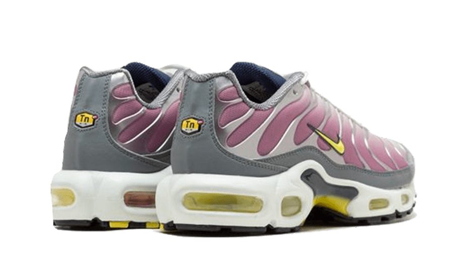 Nike Air Max Plus Violet Dust