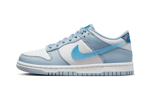 Nike Dunk Low Hologram