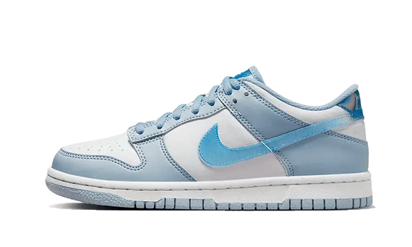 Nike Dunk Low Hologram