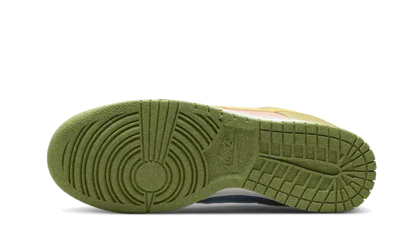 Nike Dunk Low Next Nature Sun Club Arctic Orange
