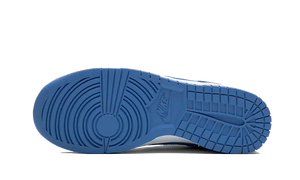 Nike Dunk Low Polar Blue
