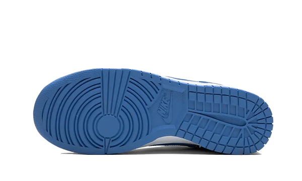 Nike Dunk Low Polar Blue