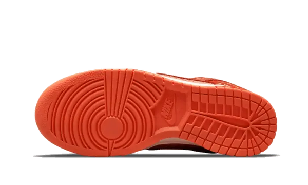 Nike Dunk Low Winter Solstice - DO6723-800