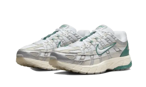 Nike P-6000 Light Bone
