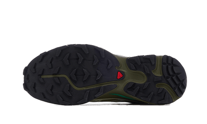 Salomon XT-6 Dried Herb