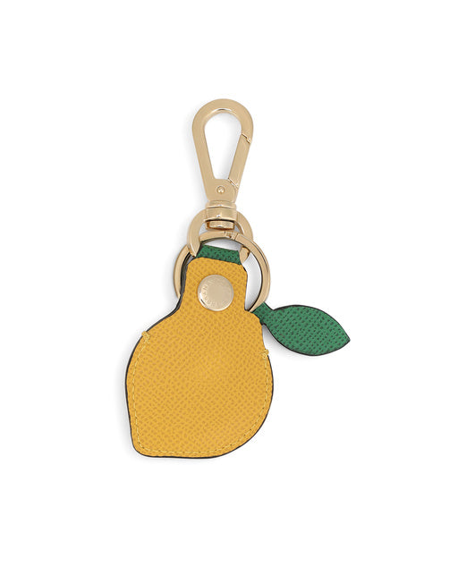 DAUPHINE CALFSKIN AIRTAG CASE