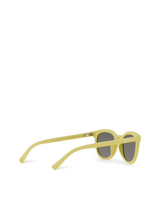 REBORN TO LIVE SUNGLASSES