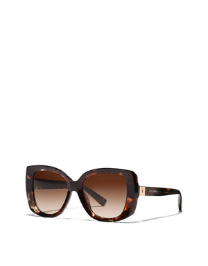 EVERYDAY SUNGLASSES