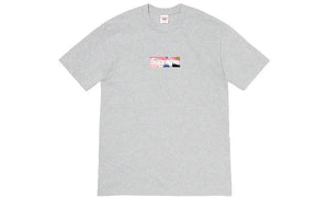 Emilio Pucci box logo t-shirt Supreme
